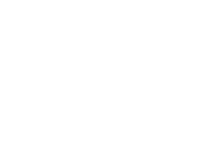 exclusive icon